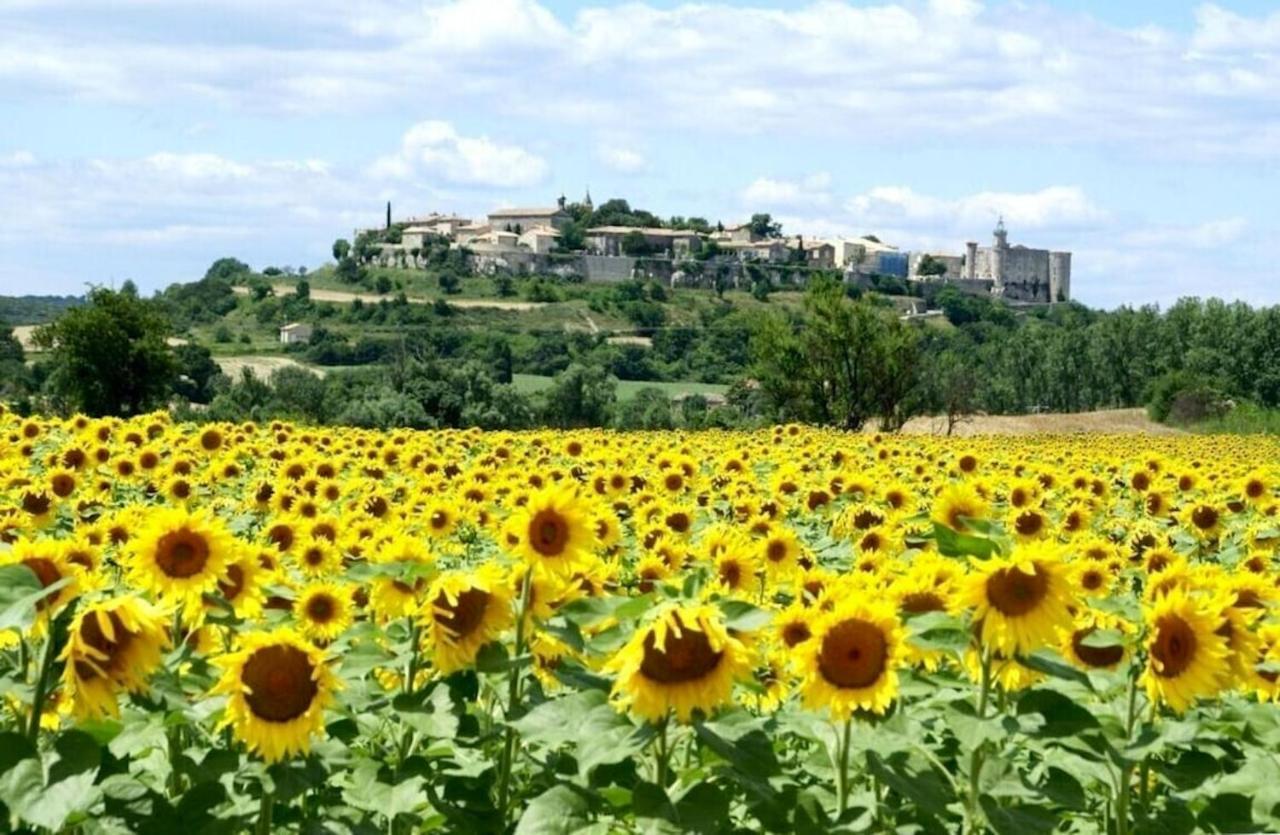 Villa Charmante A Lussan Avec Piscine Privee Et Jardin Closa Exterior foto